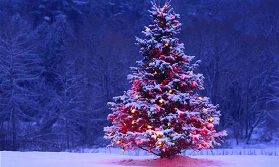 رمزيّة شجرة الميلاد…